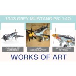 AJ003 1943 Grey Mustang P51 1:40 